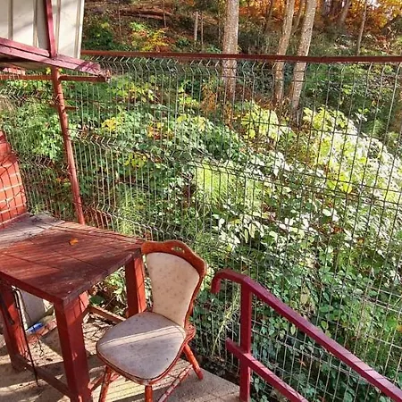 Guest house Casa Vitan Predeal