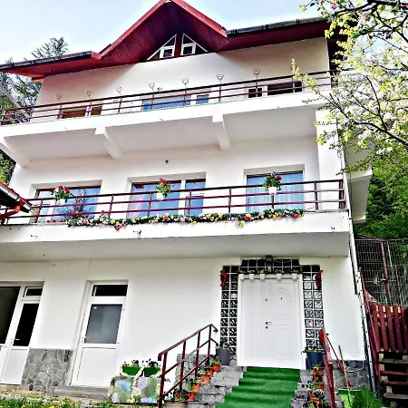 Casa Vitan * Predeal